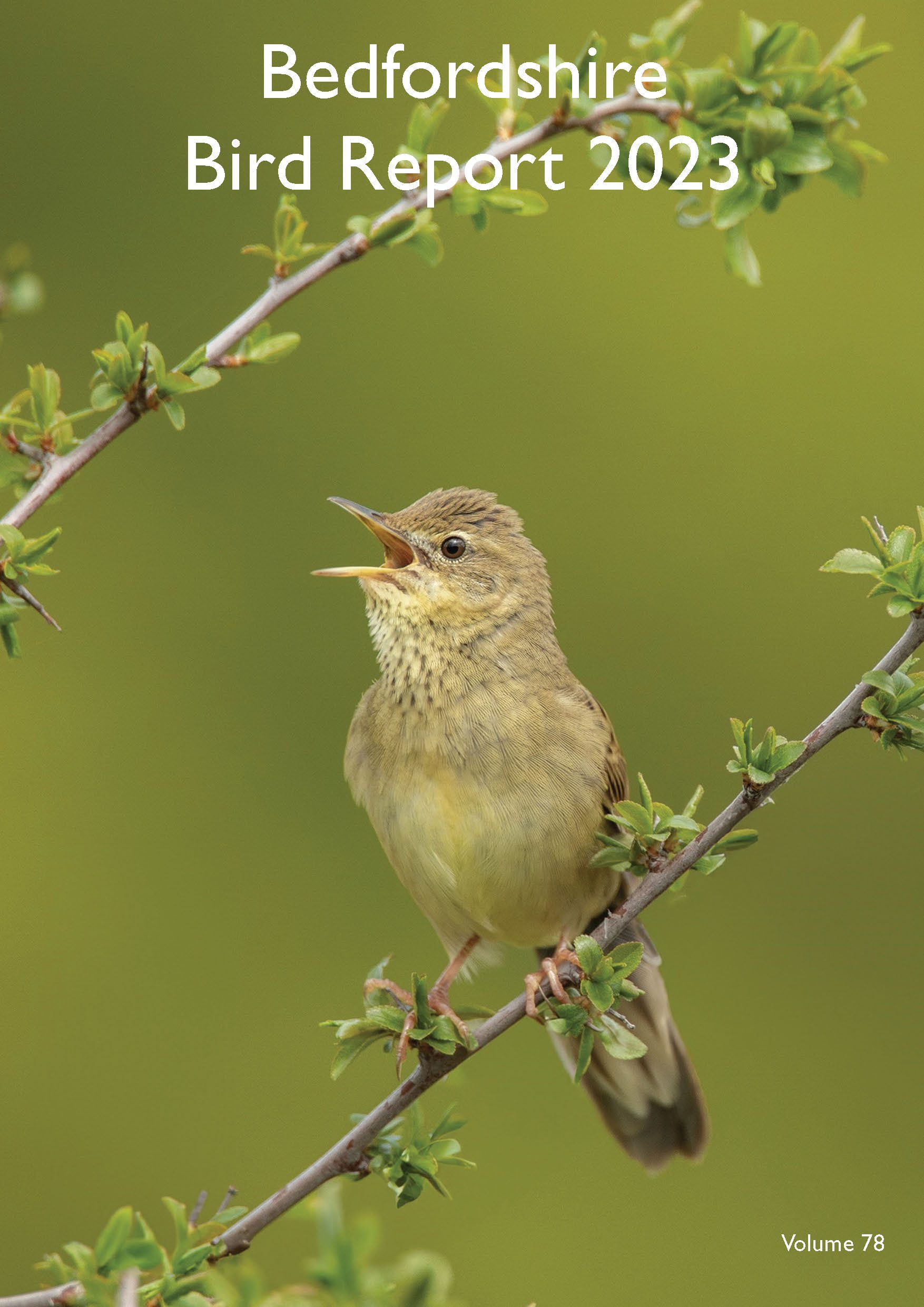 BNHS-V78-Bird-Report__Front-